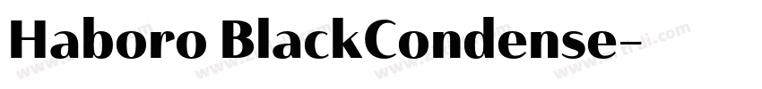 Haboro BlackCondense字体转换